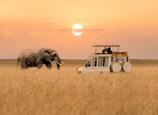 Kenia salvaje y playas de Zanzíbar